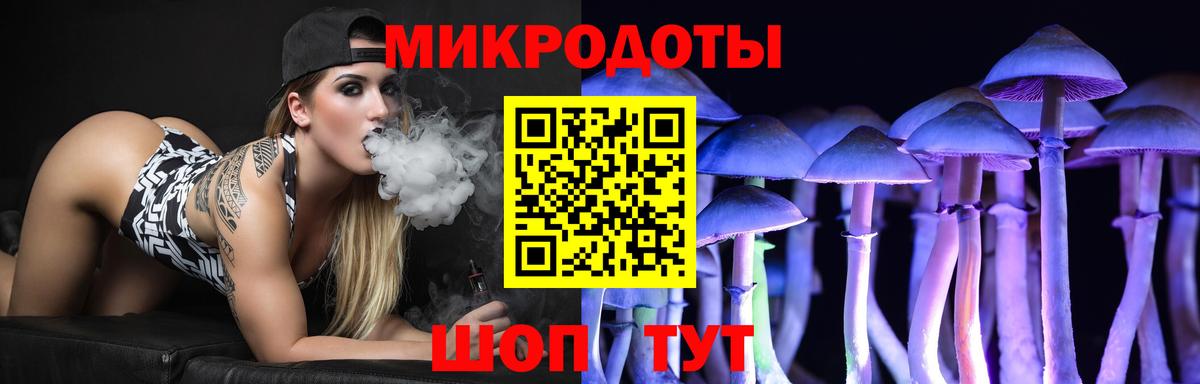 Псилоцибиновые грибы Psilocybine cubensis Истра